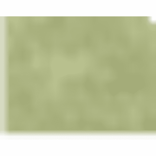 Iden2 9