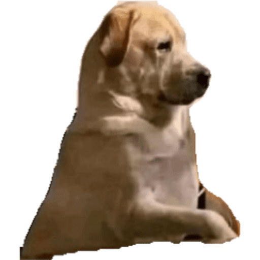 Jaja 8