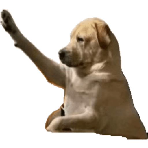 Jaja 1