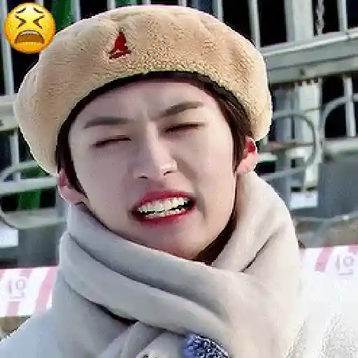 EMOJI | LEE KNOW、STRAY KIDS  😌 3