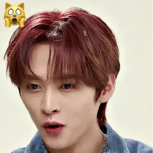 EMOJI | LEE KNOW、STRAY KIDS  😌 4