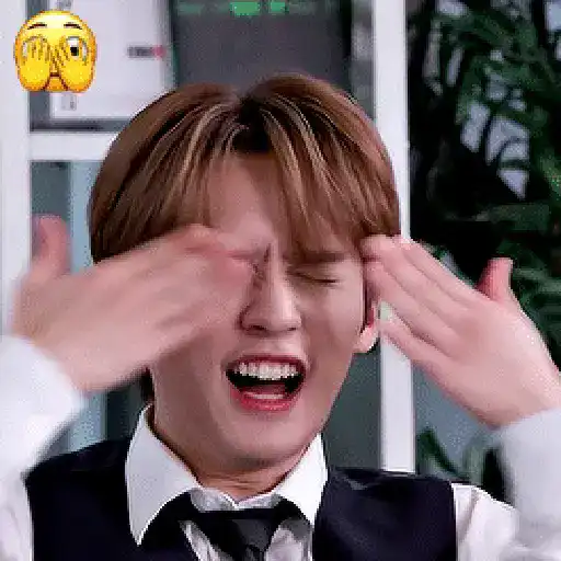 EMOJI | LEE KNOW、STRAY KIDS  😌 5