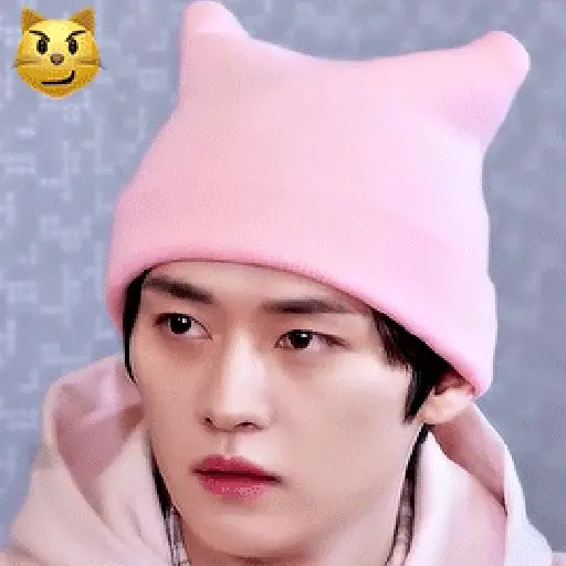 EMOJI | LEE KNOW、STRAY KIDS  😌 9