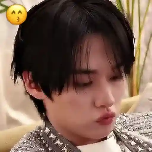 EMOJI | LEE KNOW、STRAY KIDS  😌 8