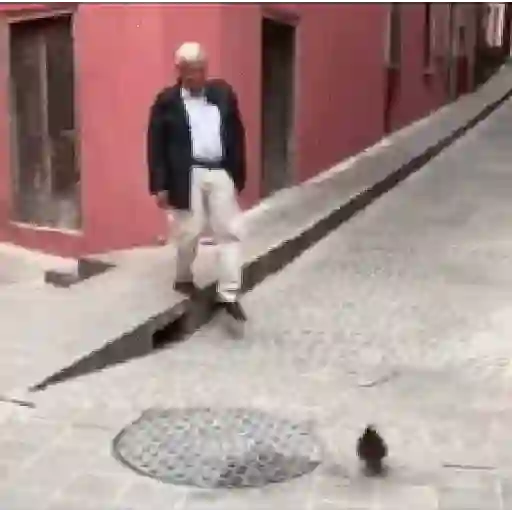 AMLO Y PEÑA CHAIROS Y NINIS 11