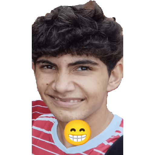 Sticker Image