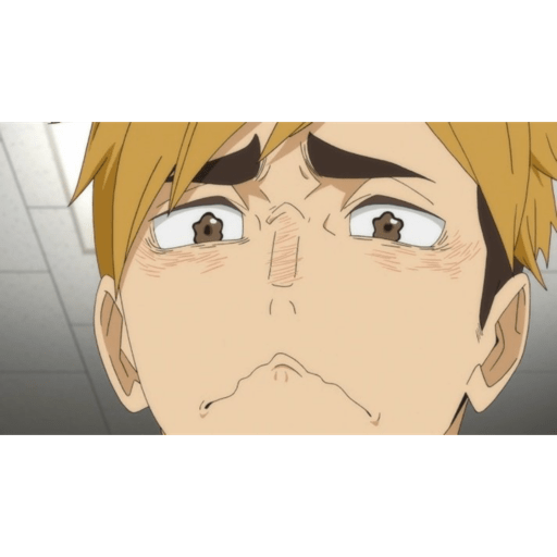 ANIME FIGS 11 17