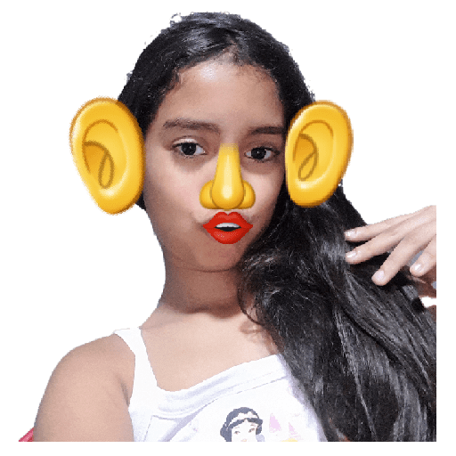Sticker Image