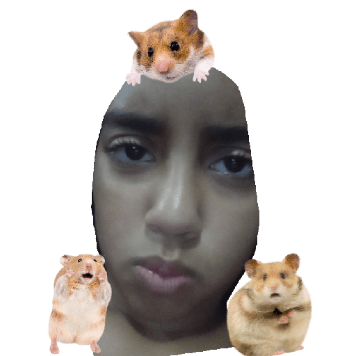 Sticker Image