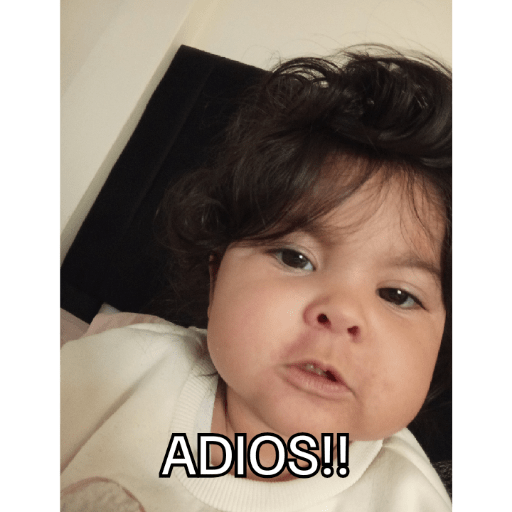 Jsjsjsjs 21