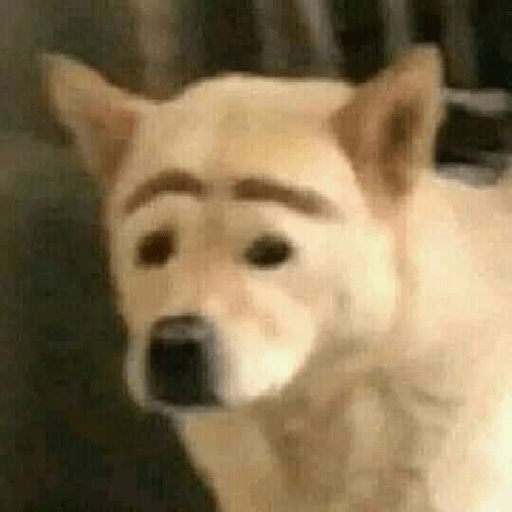 Random 6 4