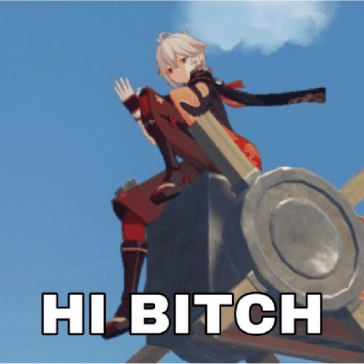 Genshin impact meme 20