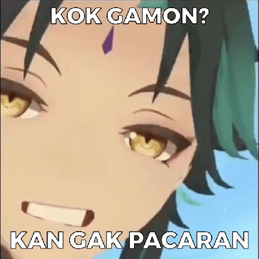 Genshin impact meme 8