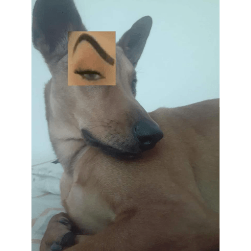 Abcdfc 1
