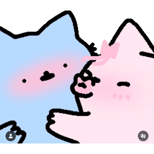 Gatos  24