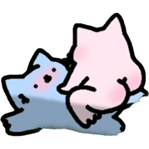 Gatos  16