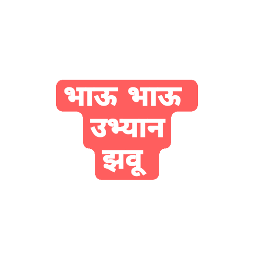 फेकू 12