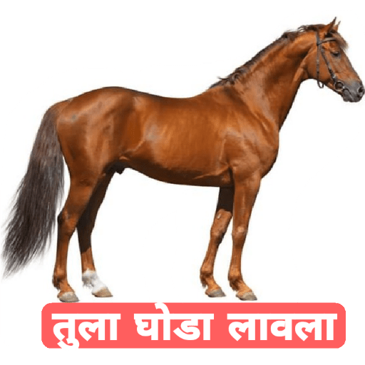 फेकू 9