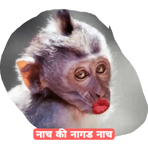 फेकू 17