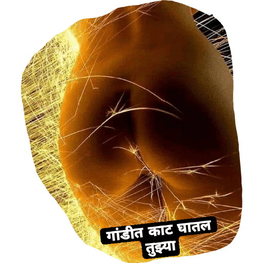 फेकू 16