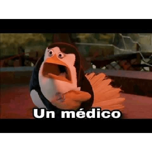 Agradecido con el de arriba 11