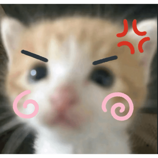Gatito u.U 7