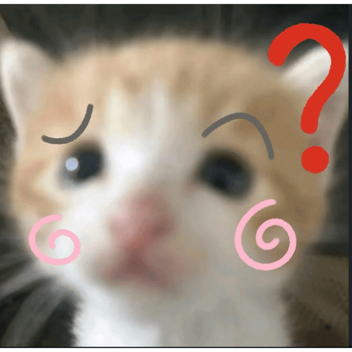 Gatito u.U 6
