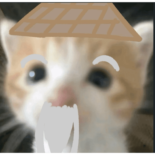 Gatito u.U 9