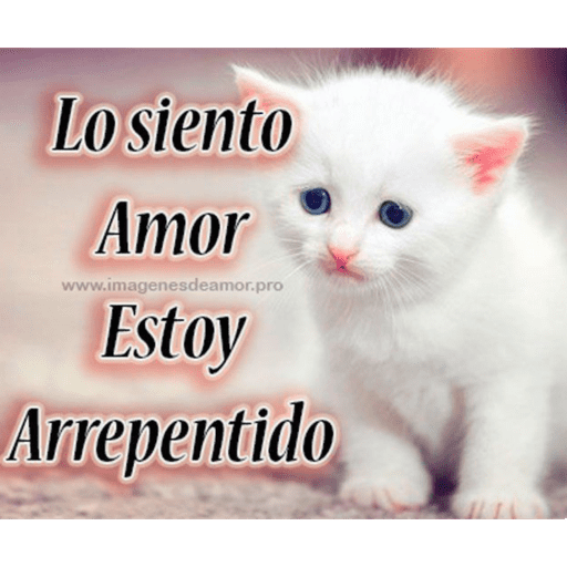 Gatito u.U 18