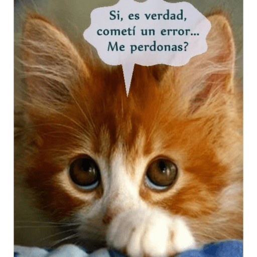 Gatito u.U 19