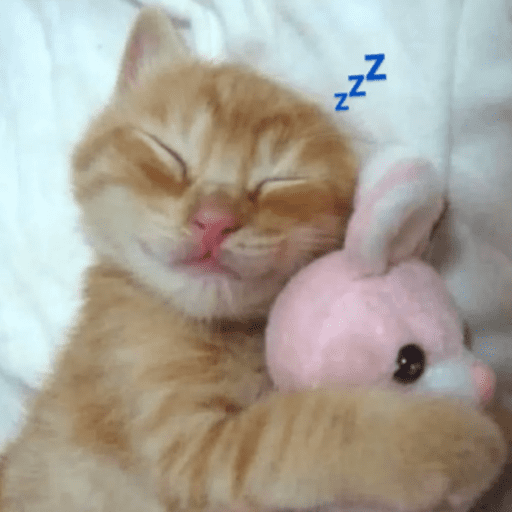 Gatito u.U 10