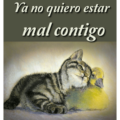 Gatito u.U 17