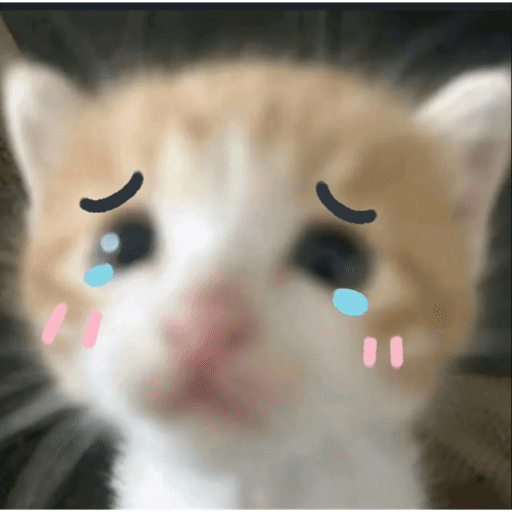 Gatito u.U 8