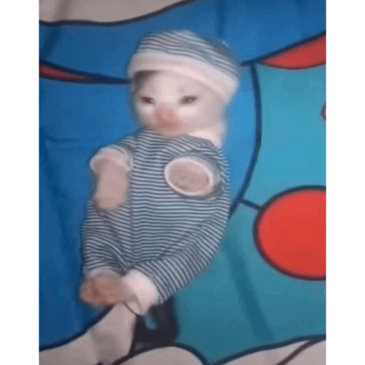 Gatito u.U 11