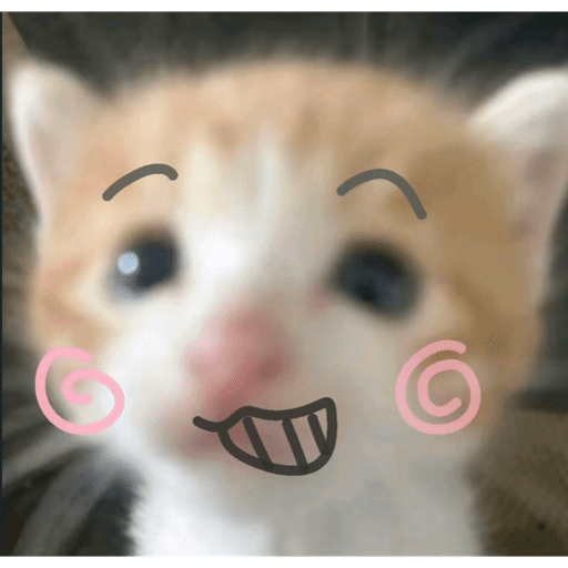 Gatito u.U 4