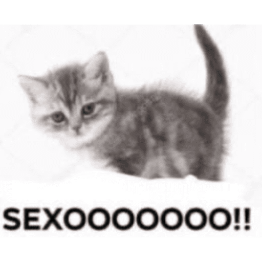 Gatito u.U 23