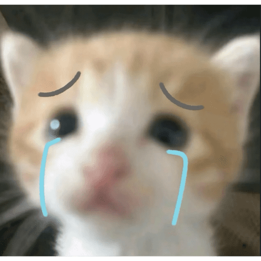 Gatito u.U 5