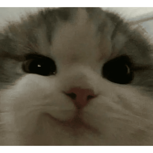 Noebakdjsk 18