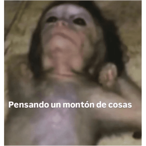 Noebakdjsk 13