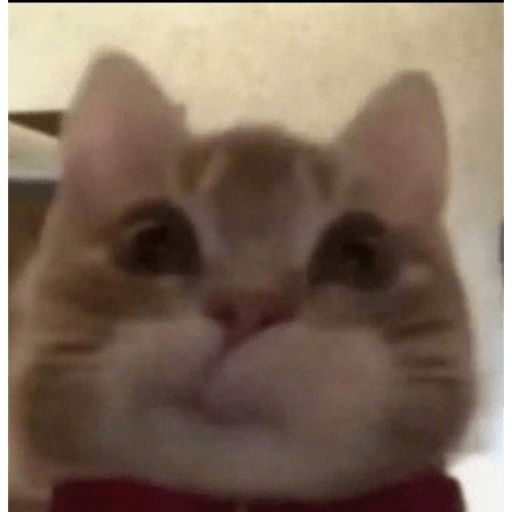 Noebakdjsk 9