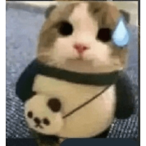 Noebakdjsk 10