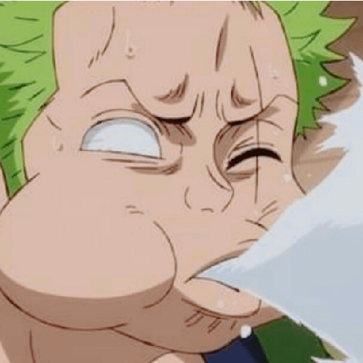 Zoro suami kairi 8