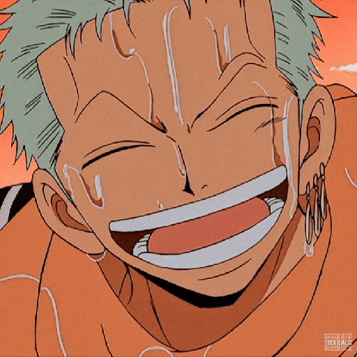 Zoro suami kairi 22