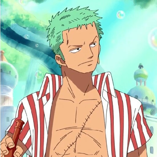 Zoro suami kairi 11
