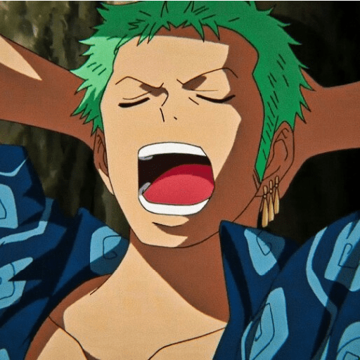 Zoro suami kairi 14