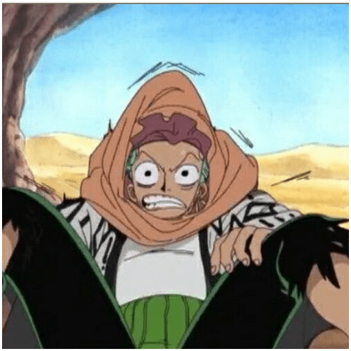 Zoro suami kairi 10