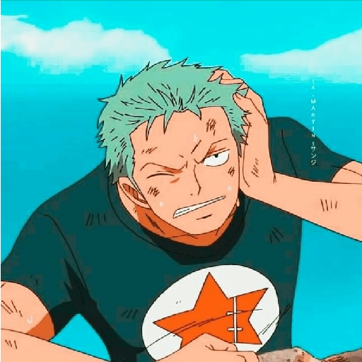Zoro suami kairi 15