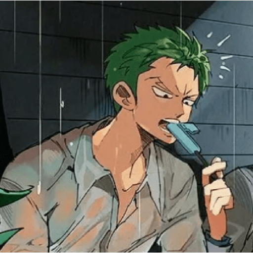 Zoro suami kairi 21