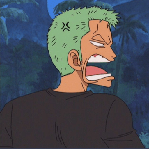 Zoro suami kairi 16