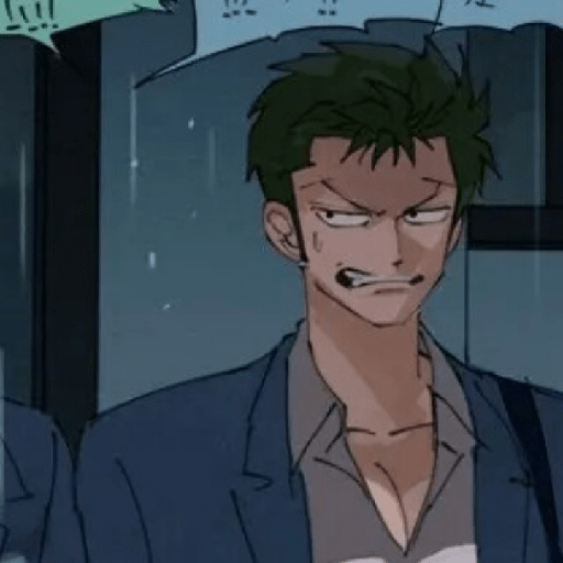 Zoro suami kairi 22